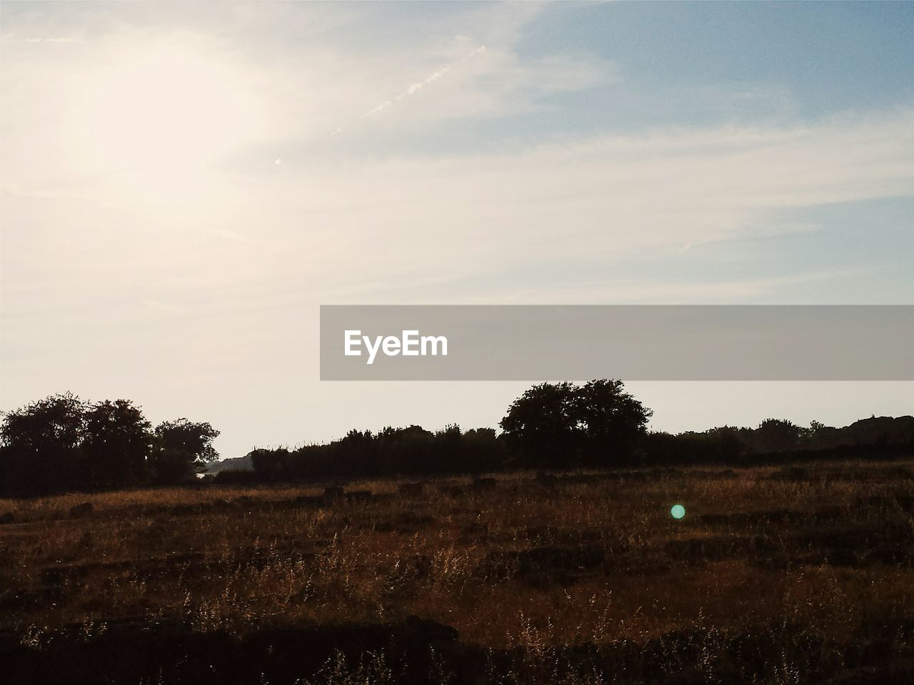 FIELD AGAINST SKY