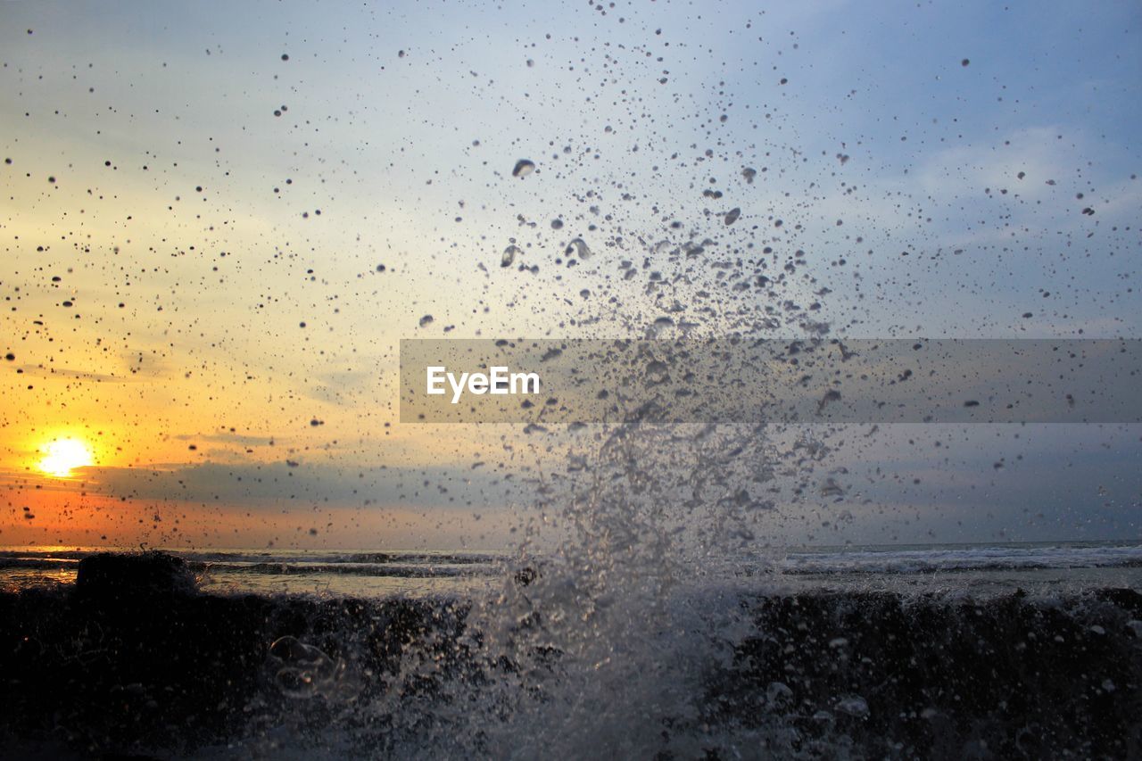 CLOSE-UP OF WET BIRDS FLYING AGAINST SKY