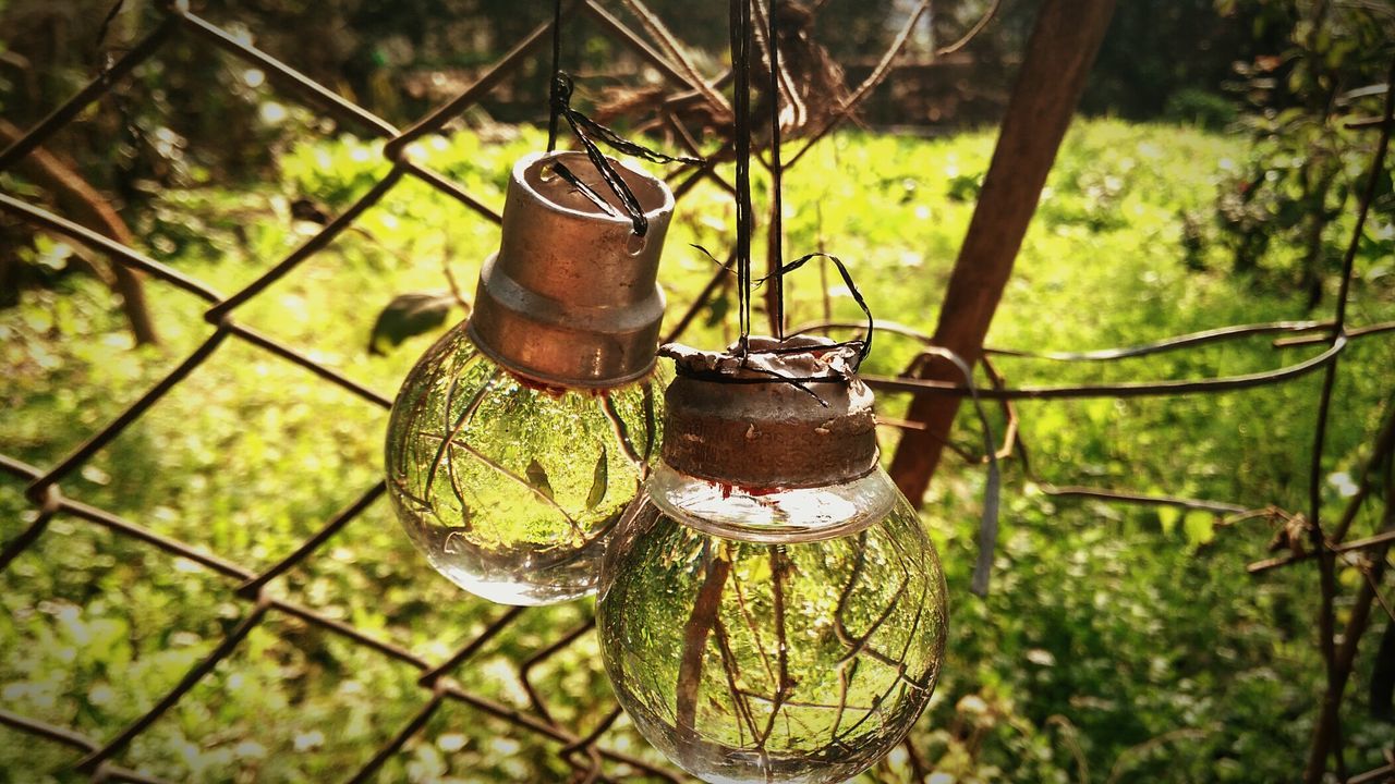 Close-up of rusty light bulbs with reflection hanging on metal