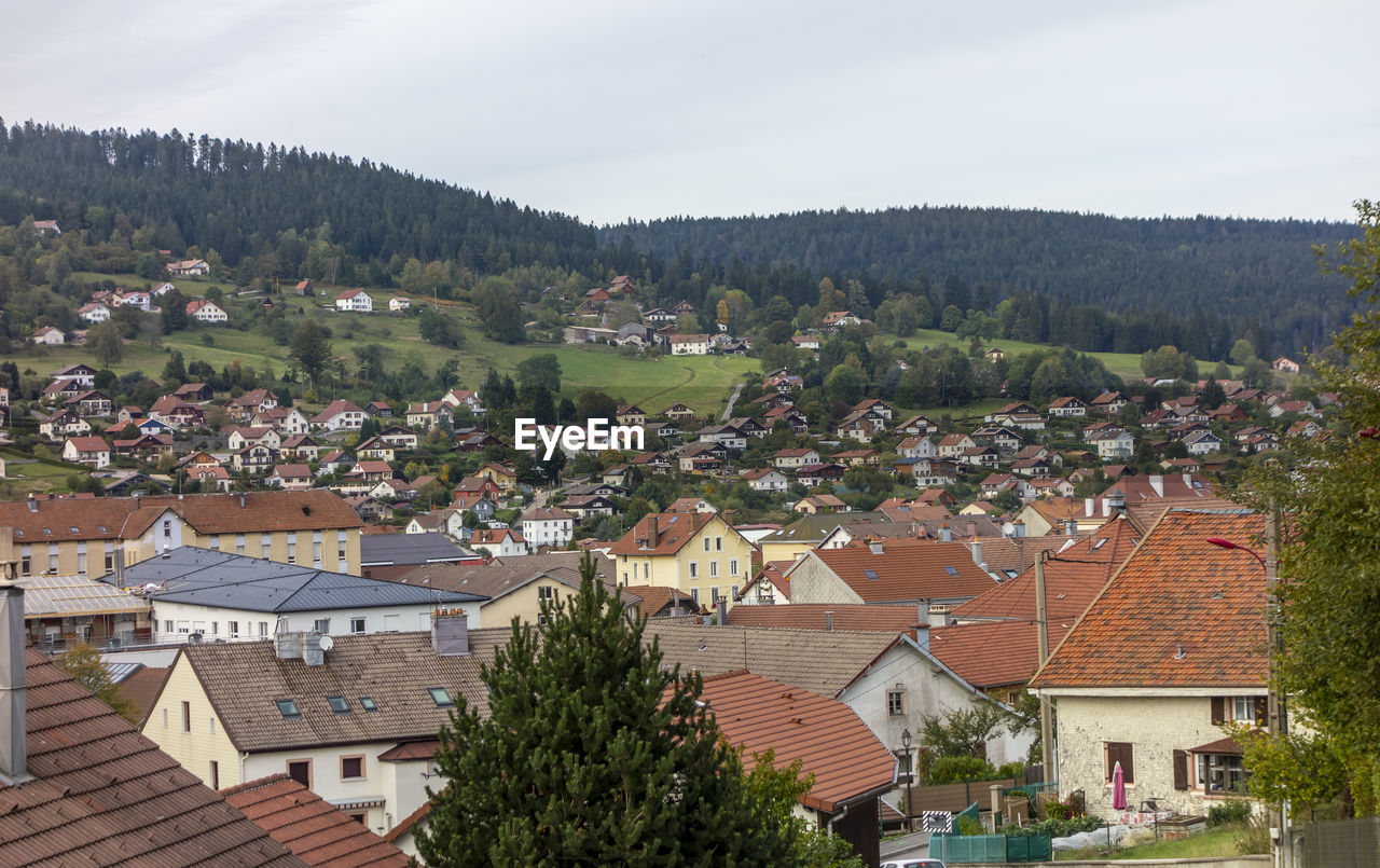 HIGH ANGLE VIEW OF HOUSES AND TREES IN TOWN