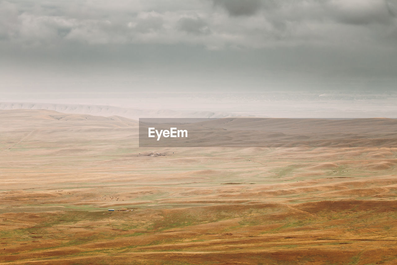 scenic view of agricultural landscape against sky