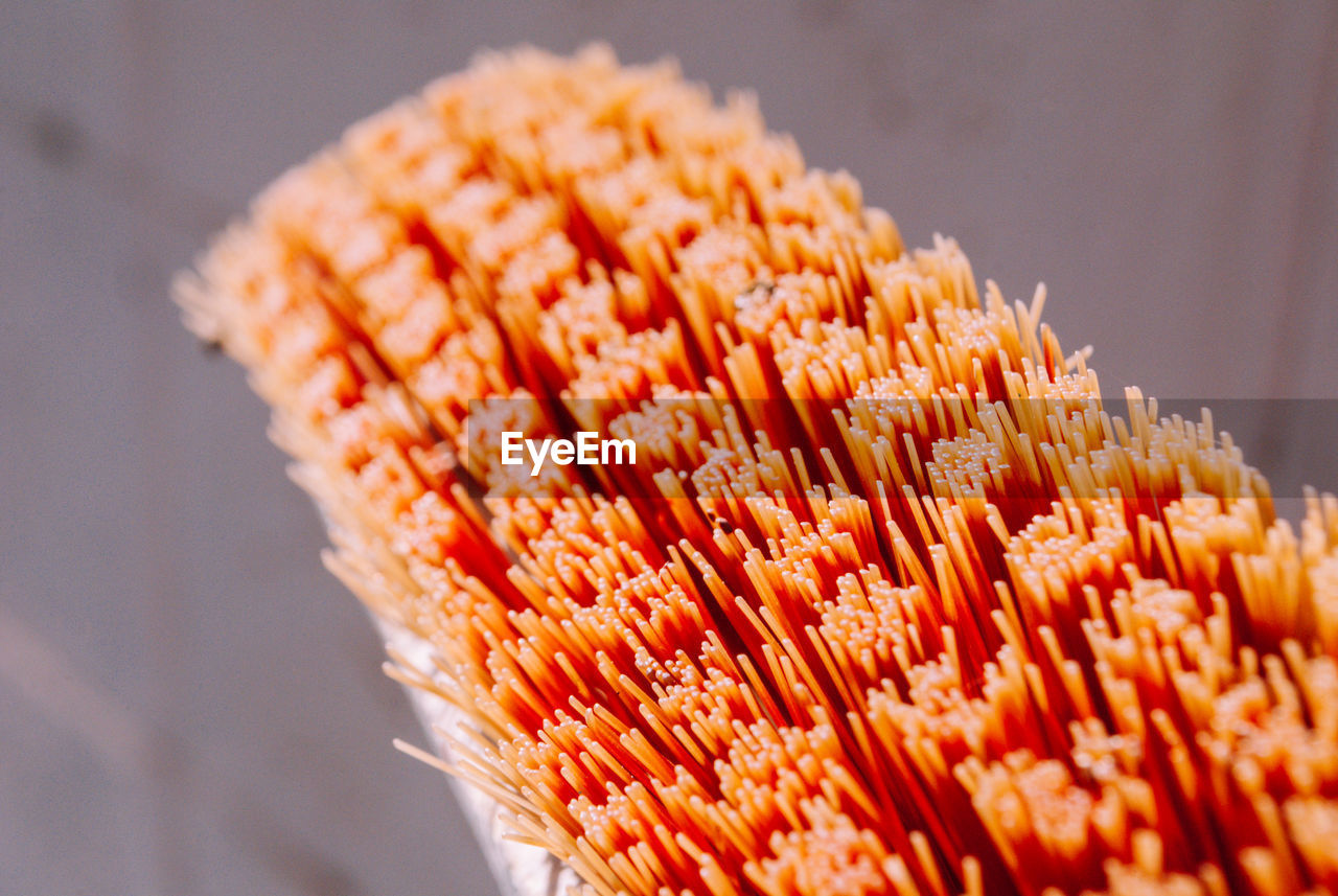 Close-up of orange raw food