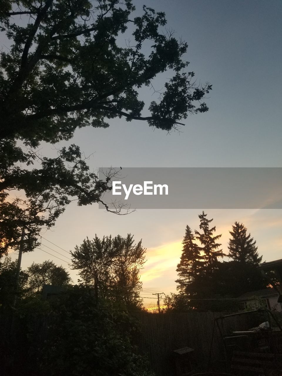 LOW ANGLE VIEW OF SILHOUETTE TREES AND BUILDING AGAINST SKY