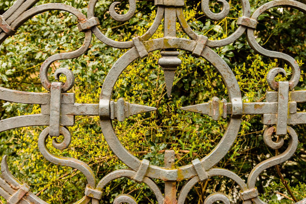 Hedge seen through metallic fence