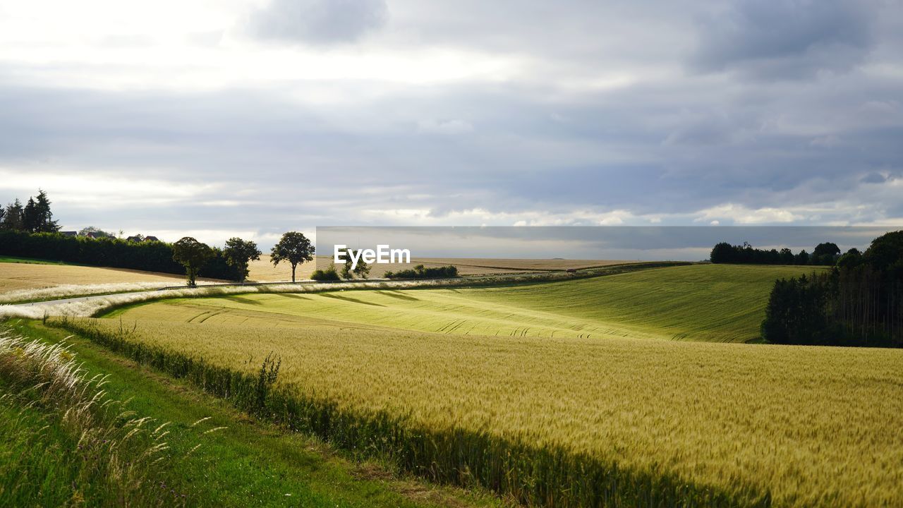 Scenic view of rural  landscape against sky at evening light 