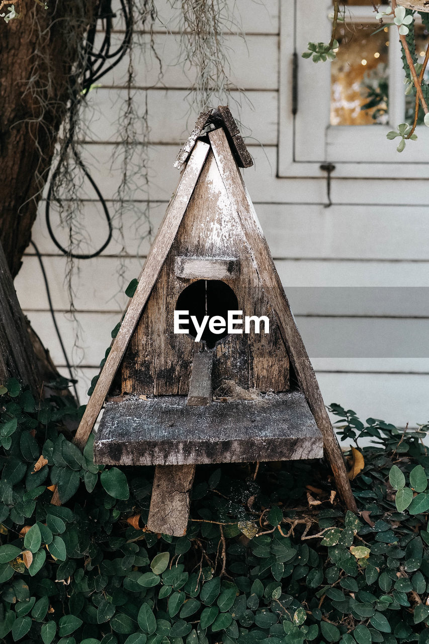 LOW ANGLE VIEW OF BIRDHOUSE ON TREE BY BUILDING