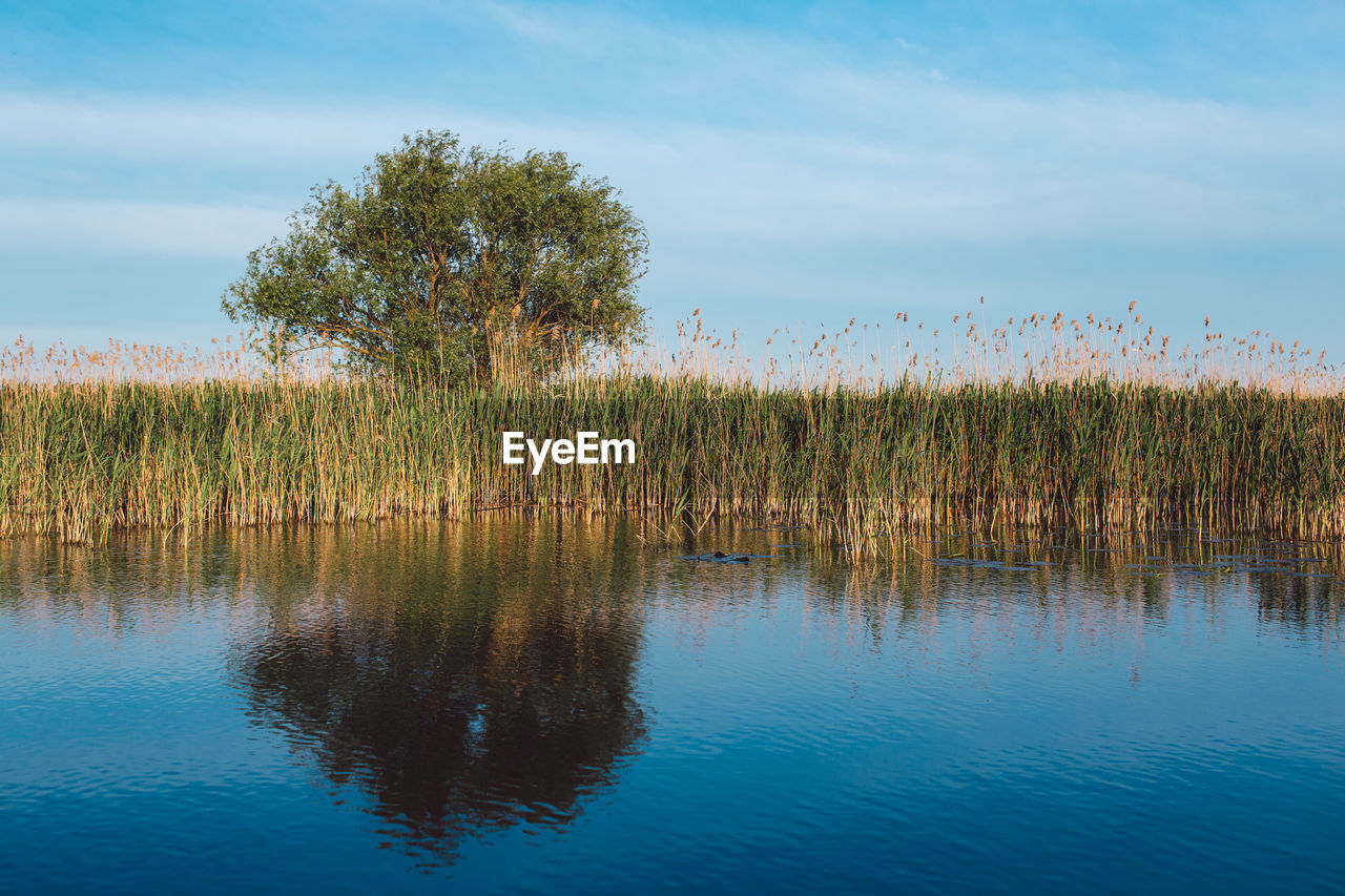 Scenic view of lake against sky