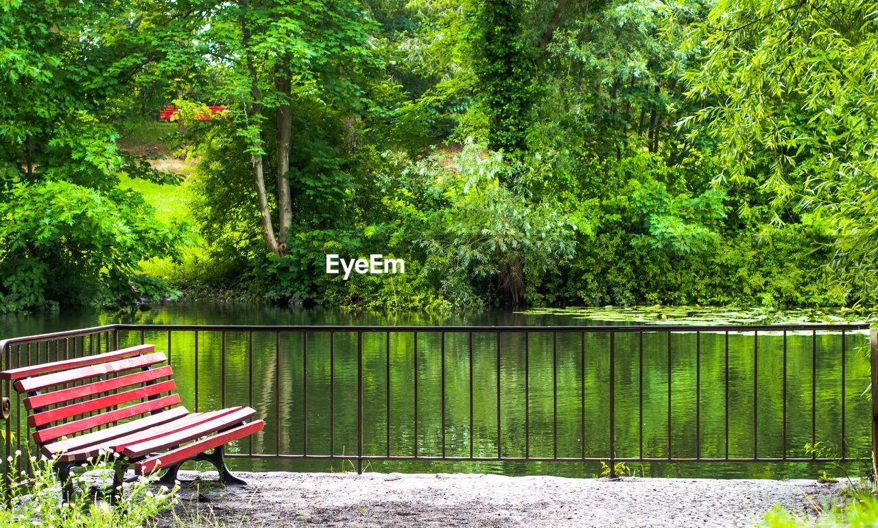 Plants by lake against trees