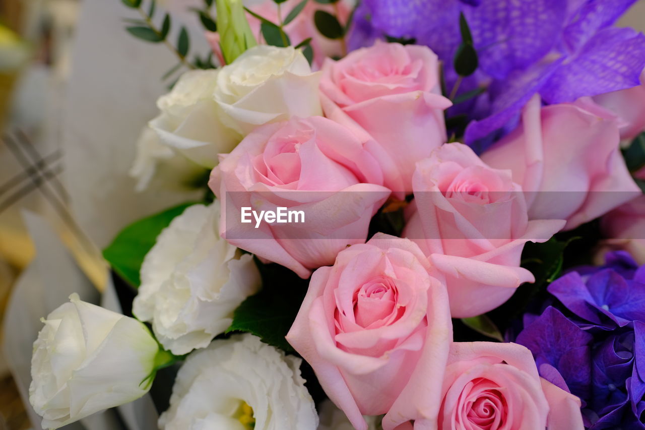 CLOSE-UP OF ROSE BOUQUET