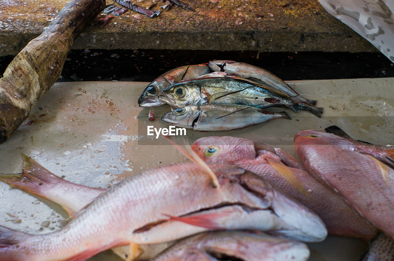 High angle view of fishes on wet table at market