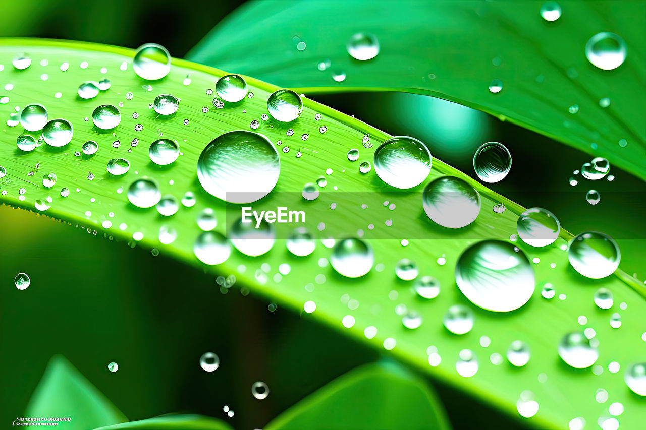 water, drop, green, wet, dew, nature, close-up, moisture, plant part, leaf, no people, freshness, backgrounds, rain, plant, macro photography, beauty in nature, environment, purity, fragility, grass, pattern, macro, outdoors, full frame, vibrant color, extreme close-up, selective focus, blade of grass