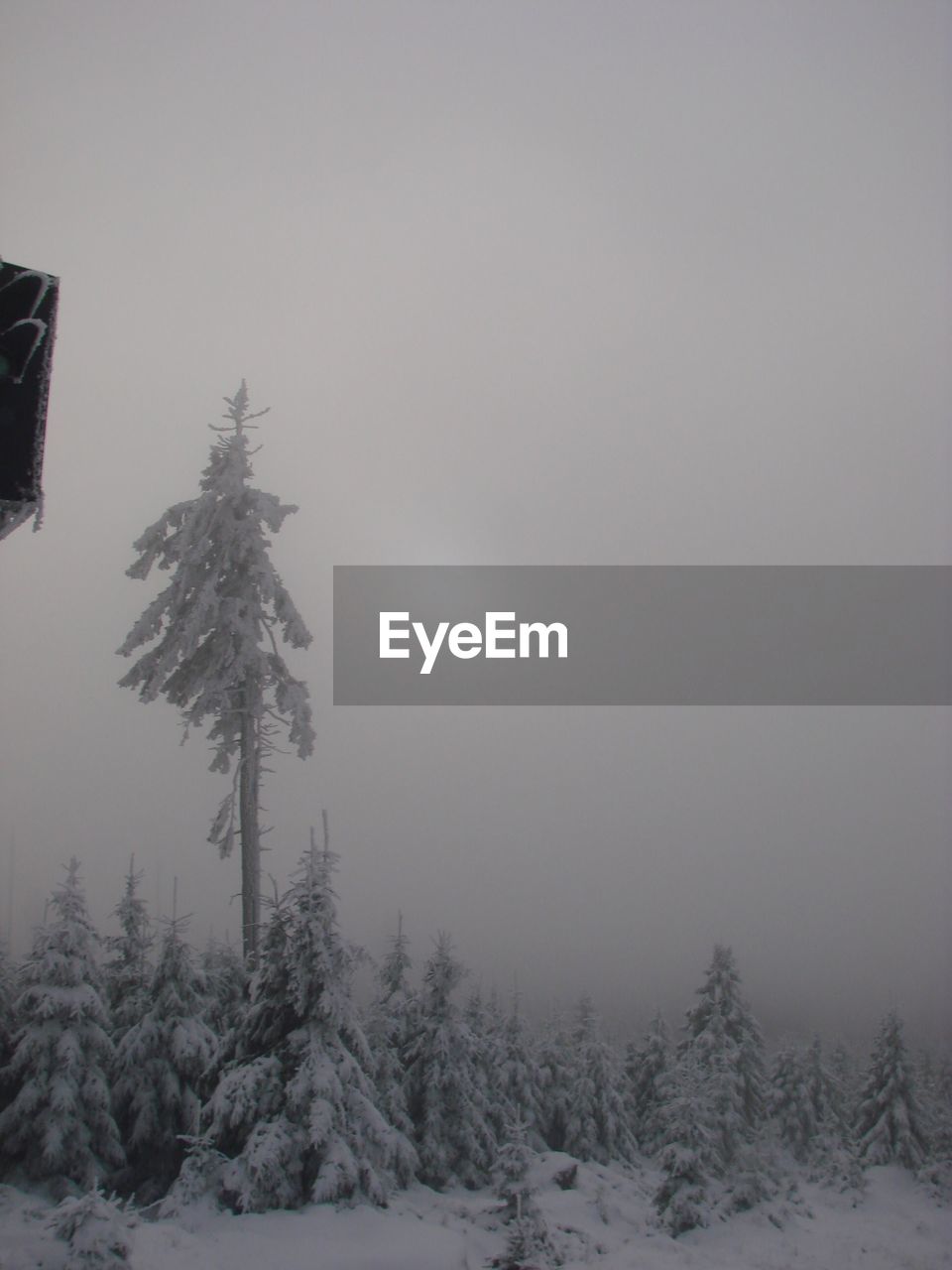 SCENIC VIEW OF SNOW COVERED FIELD AGAINST SKY