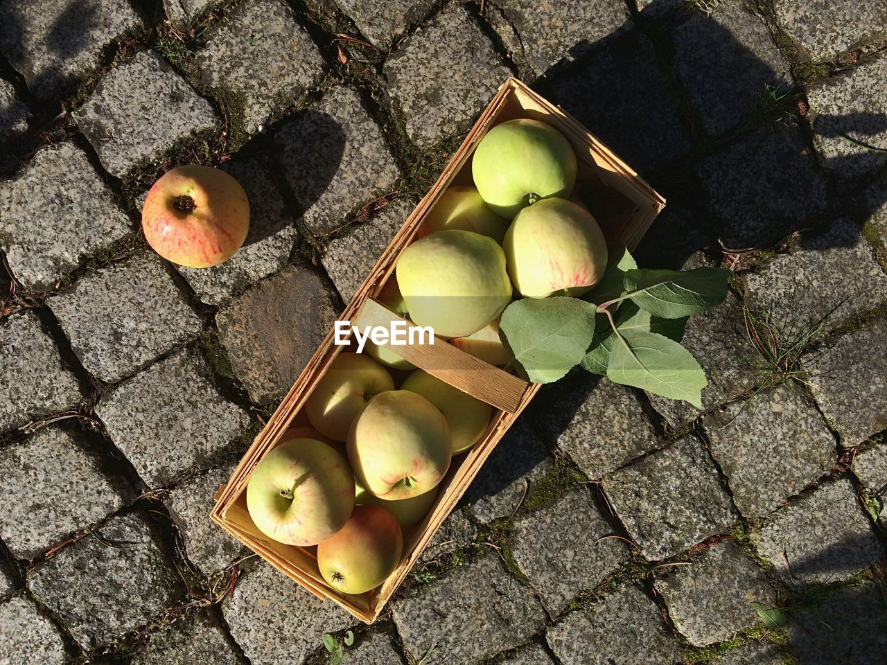 HIGH ANGLE VIEW OF FRUIT AND FRUITS ON GROUND