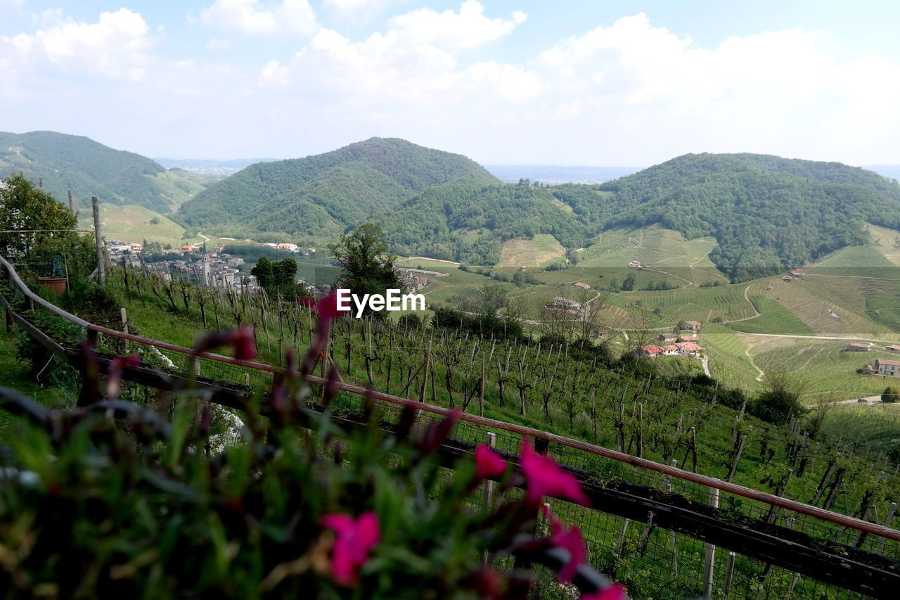 SCENIC VIEW OF FARM AGAINST SKY