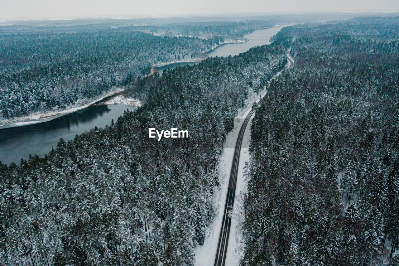 High angle view of trees on land