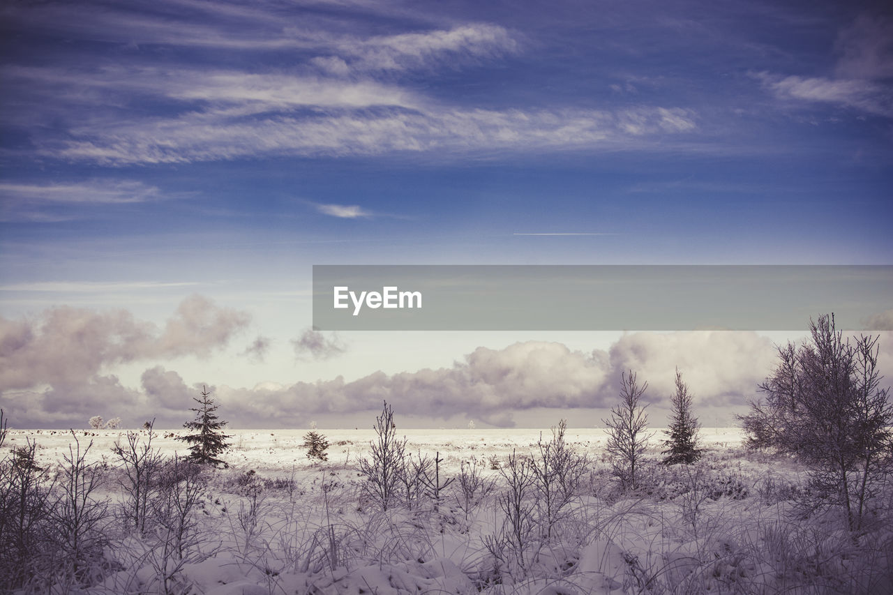 Scenic view of snow covered land against sky