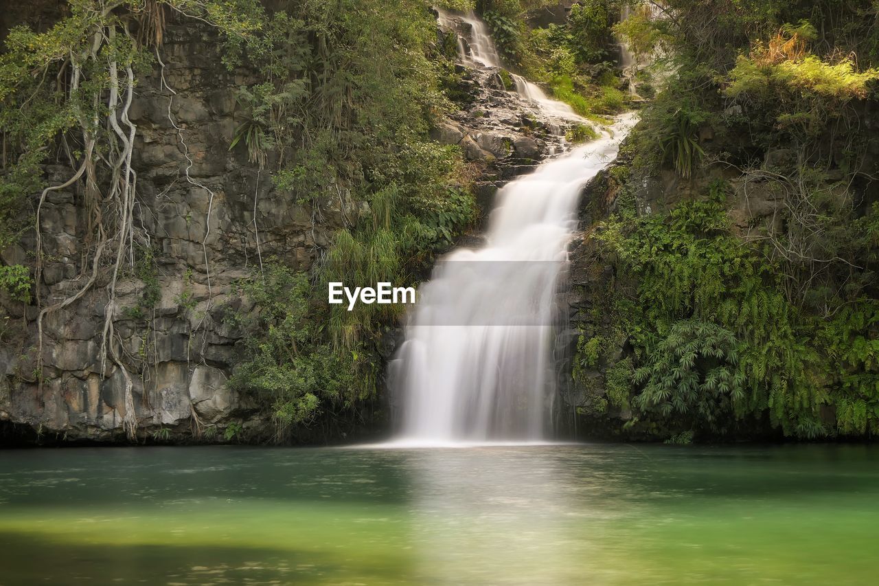 VIEW OF WATERFALL WITH TREES IN BACKGROUND