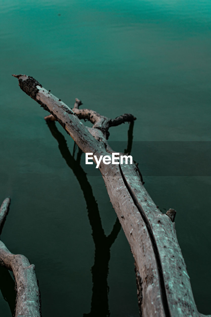 High angle view of driftwood on sea shore