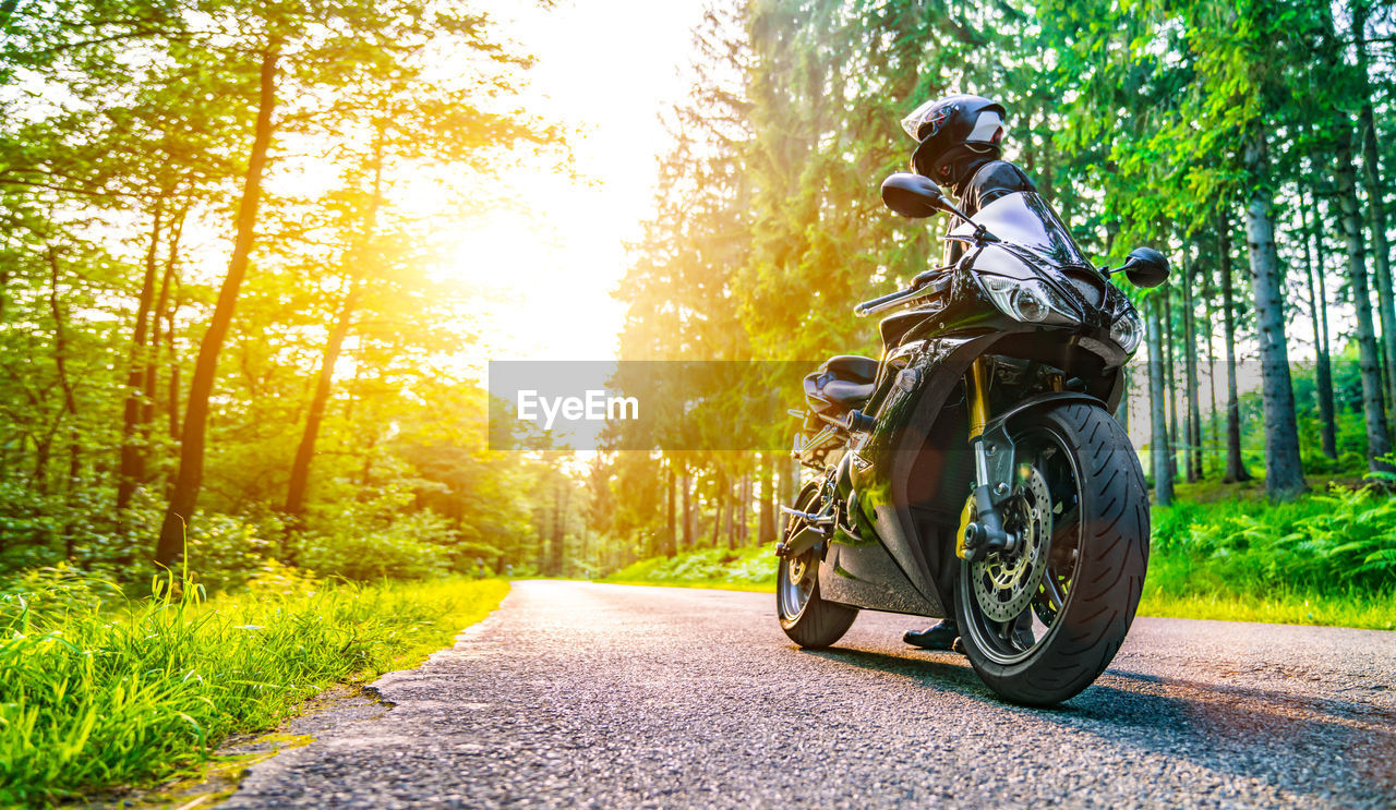 Low angle view of motorcycle parked on road in forest