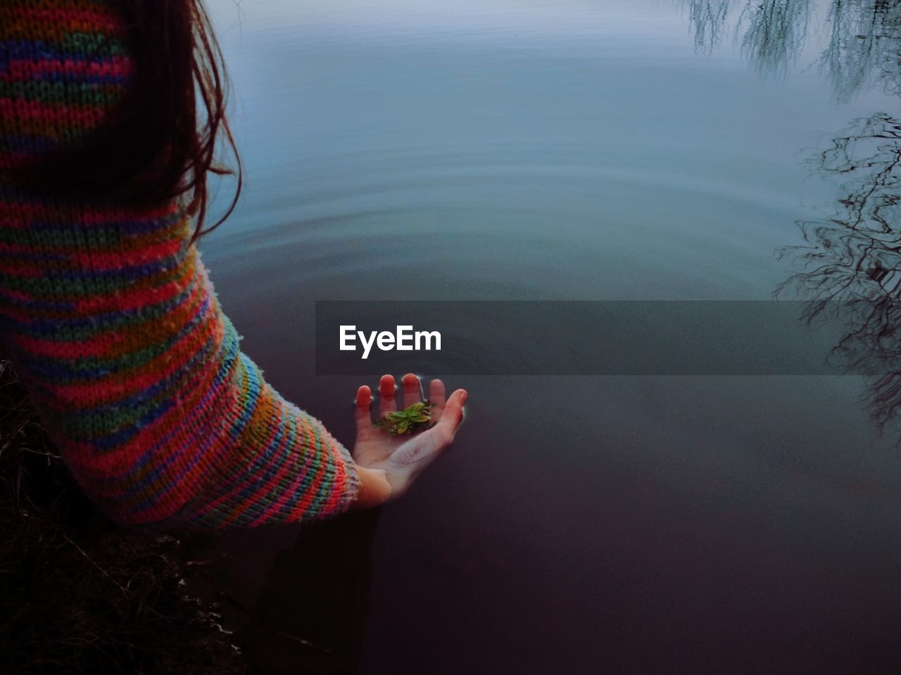 High angle view of woman holding leaf in lake