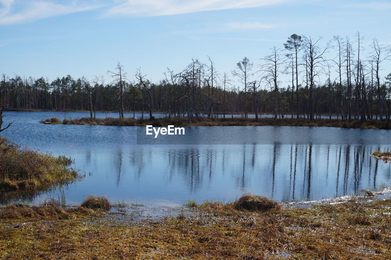 SCENIC VIEW OF LAKE