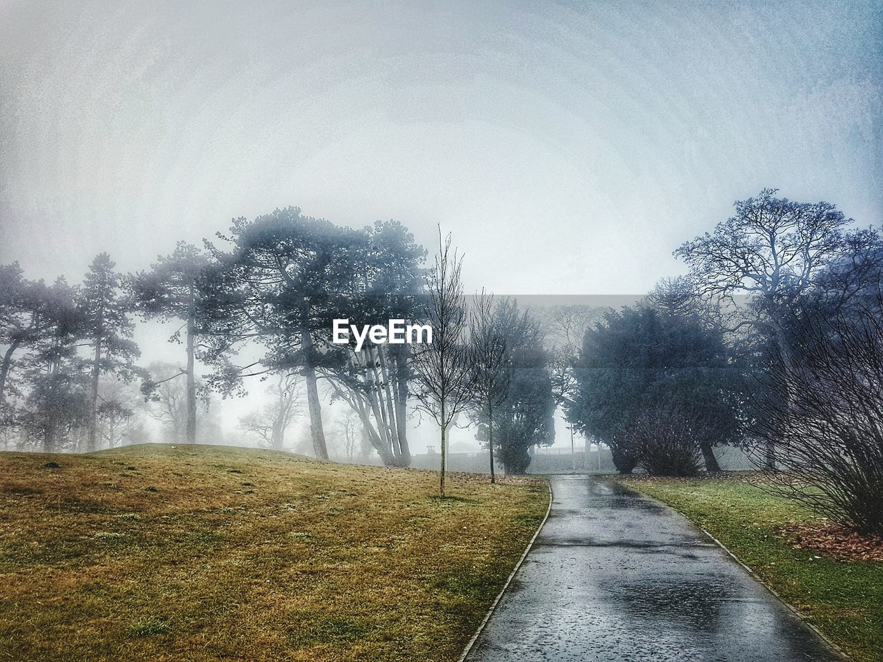 WET ROAD AMIDST TREES AGAINST SKY