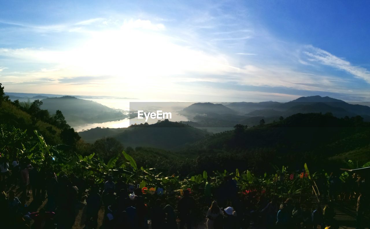 SCENIC VIEW OF GREEN LANDSCAPE AGAINST SKY