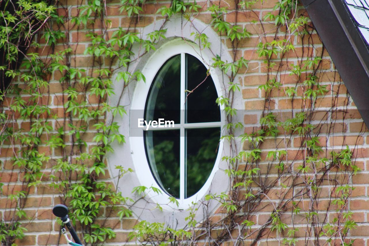 WINDOW OF BUILDING