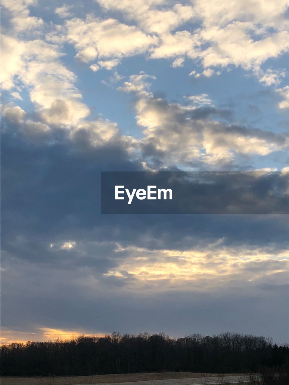 SILHOUETTE TREES ON FIELD AGAINST SKY DURING SUNSET