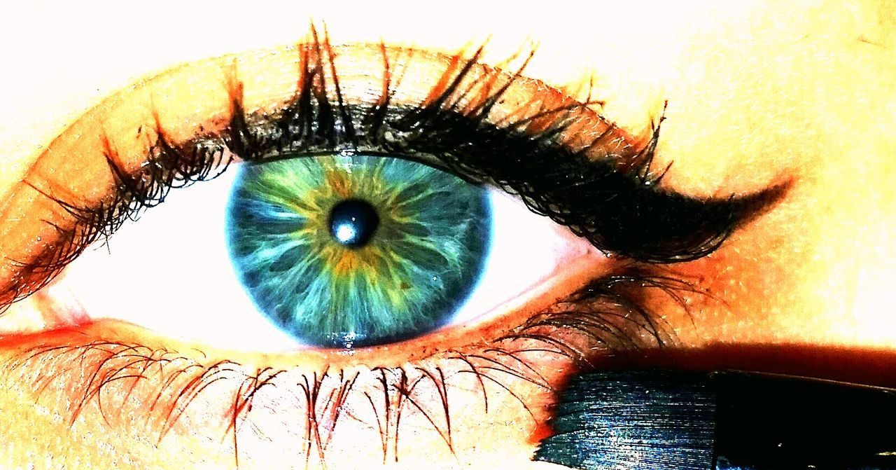 Portrait of blue woman eye