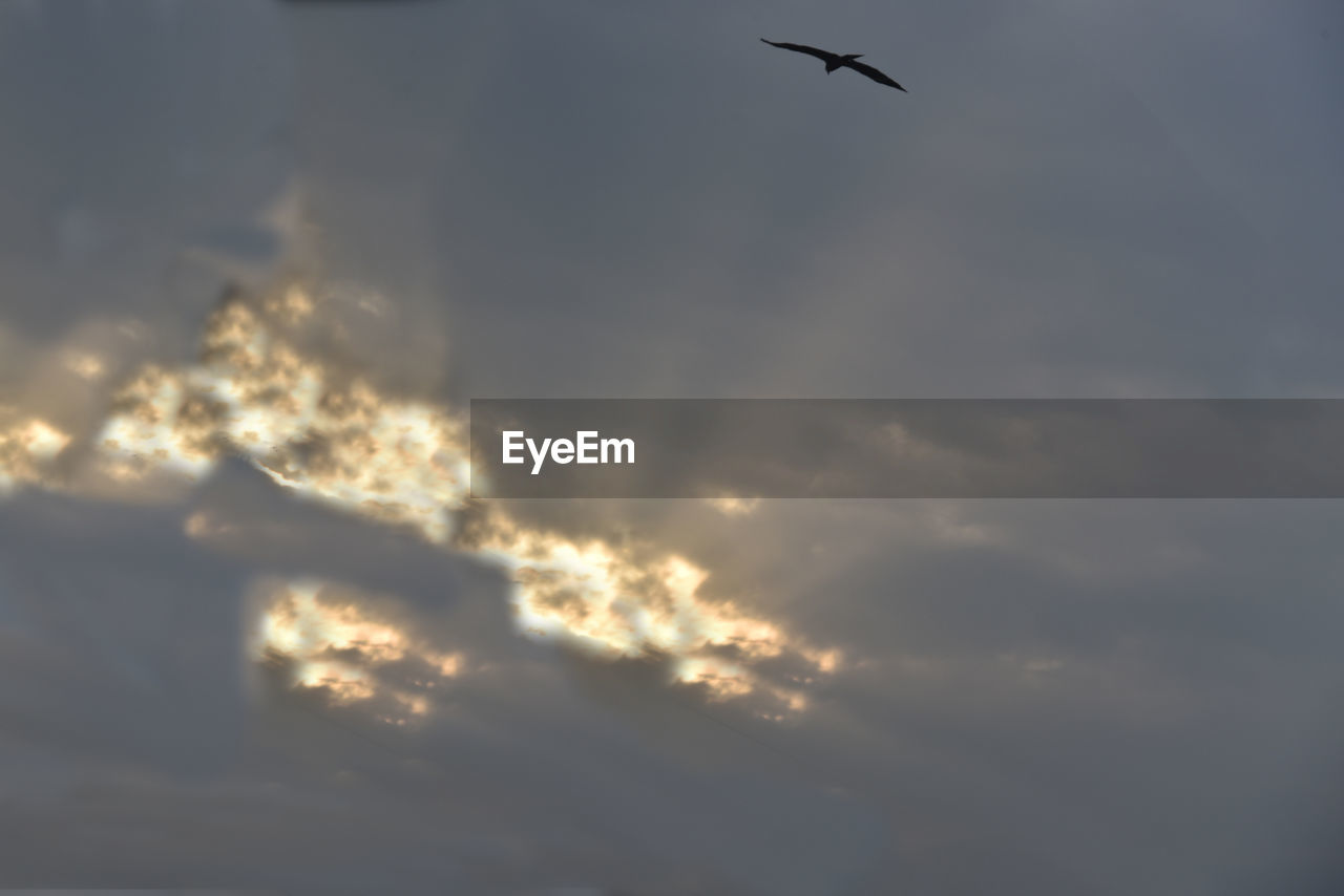LOW ANGLE VIEW OF CLOUDY SKY DURING SUNSET