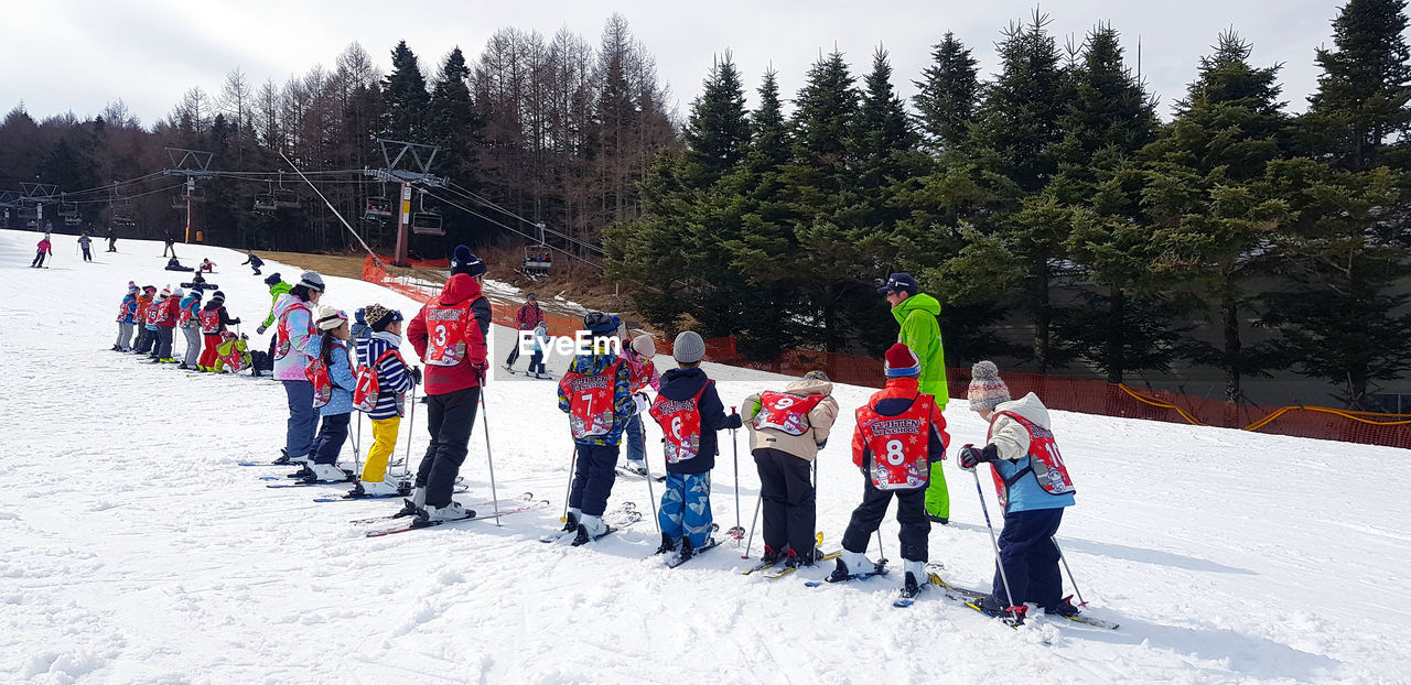 GROUP OF PEOPLE SKIING ON SNOW AGAINST TREES