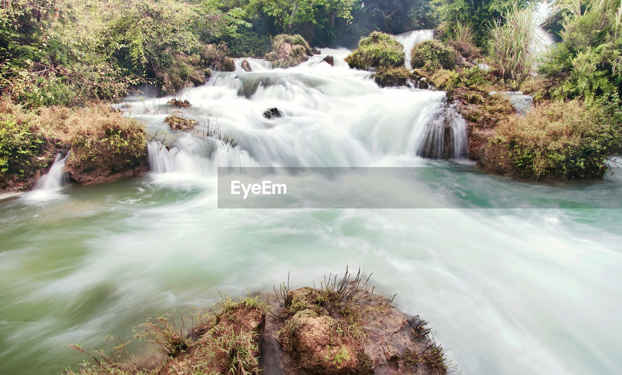 WATER FLOWING THROUGH ROCKS IN FOREST