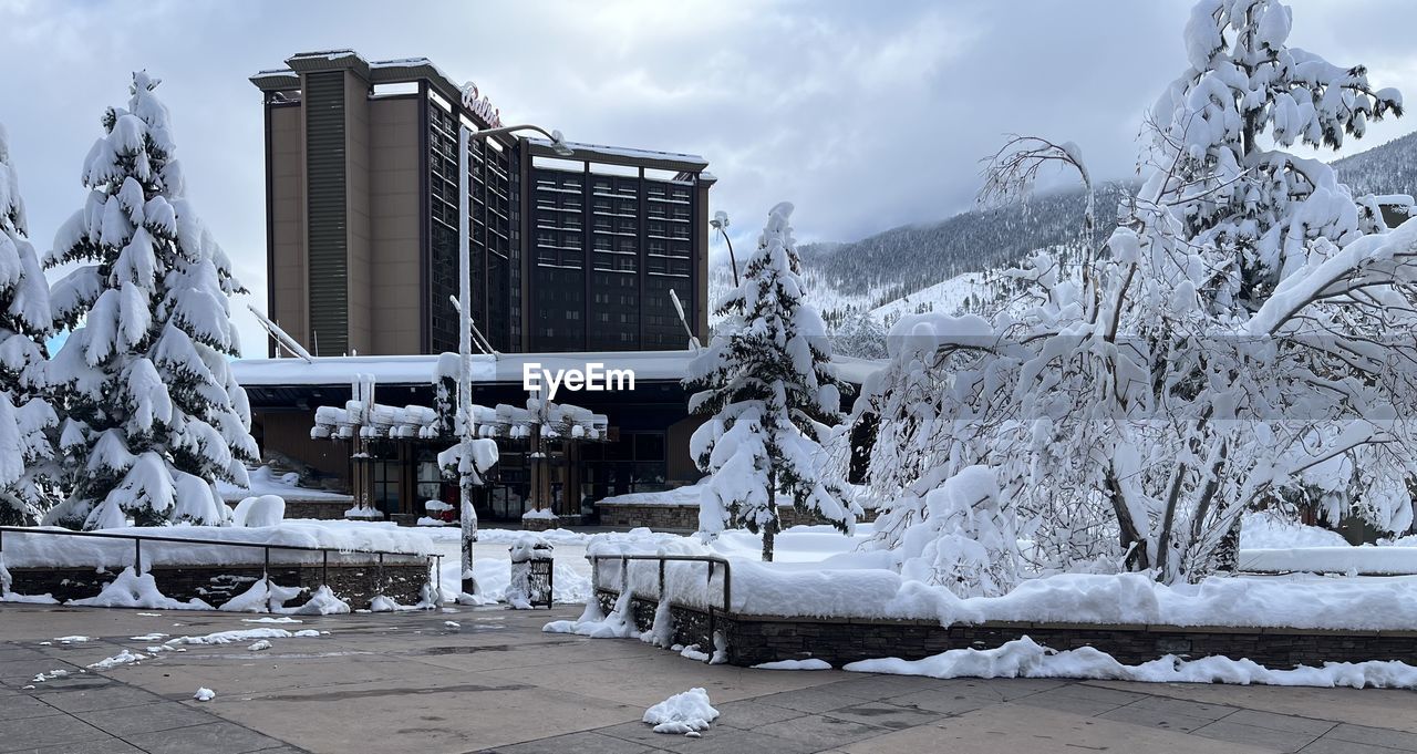 winter, snow, cold temperature, architecture, nature, tree, built structure, building exterior, sky, building, cloud, plant, environment, city, urban area, frozen, landscape, no people, day, outdoors, ice, travel destinations, storm, monochrome, beauty in nature, scenics - nature