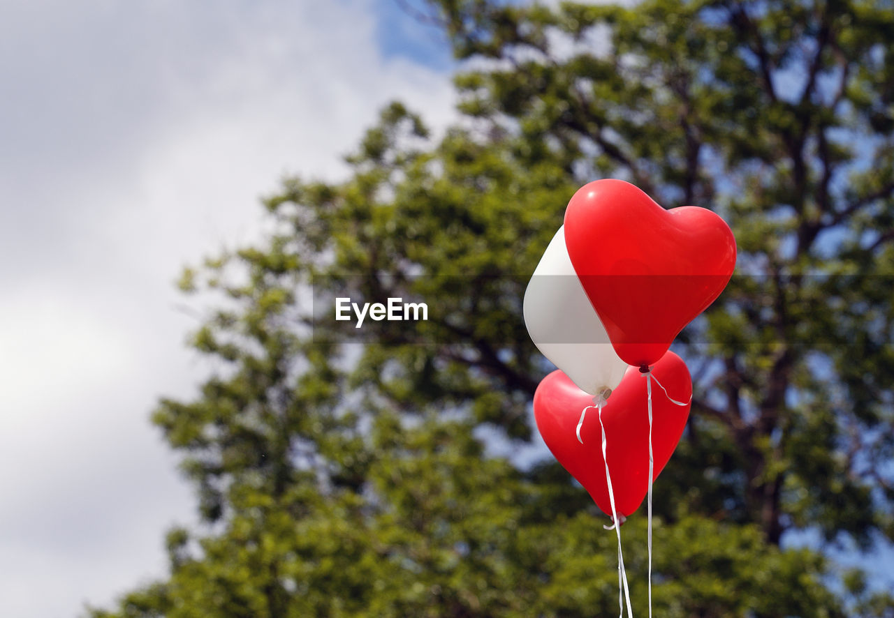 Low angle view of heart shape balloon against trees