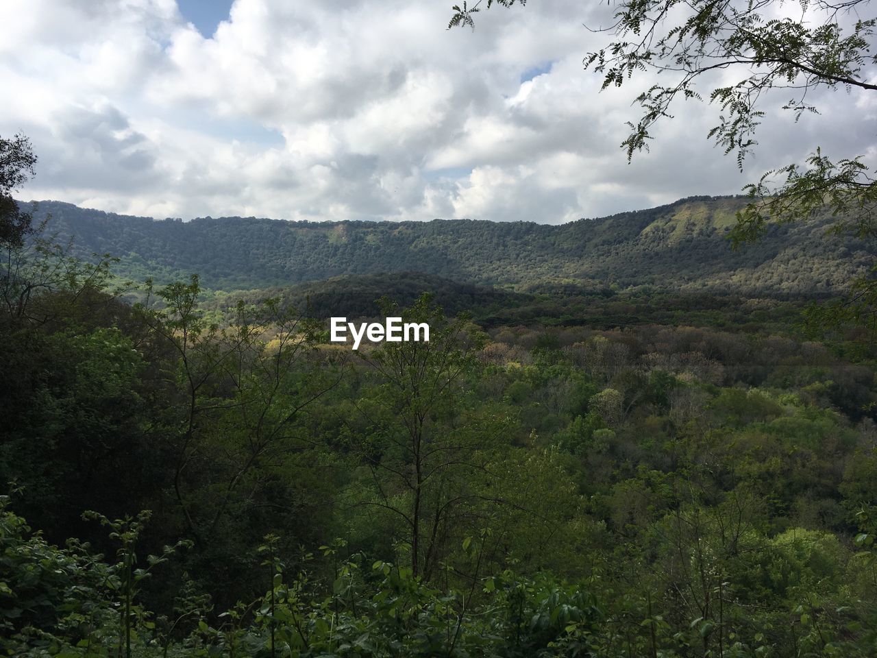 SCENIC VIEW OF AGRICULTURAL LANDSCAPE AGAINST SKY