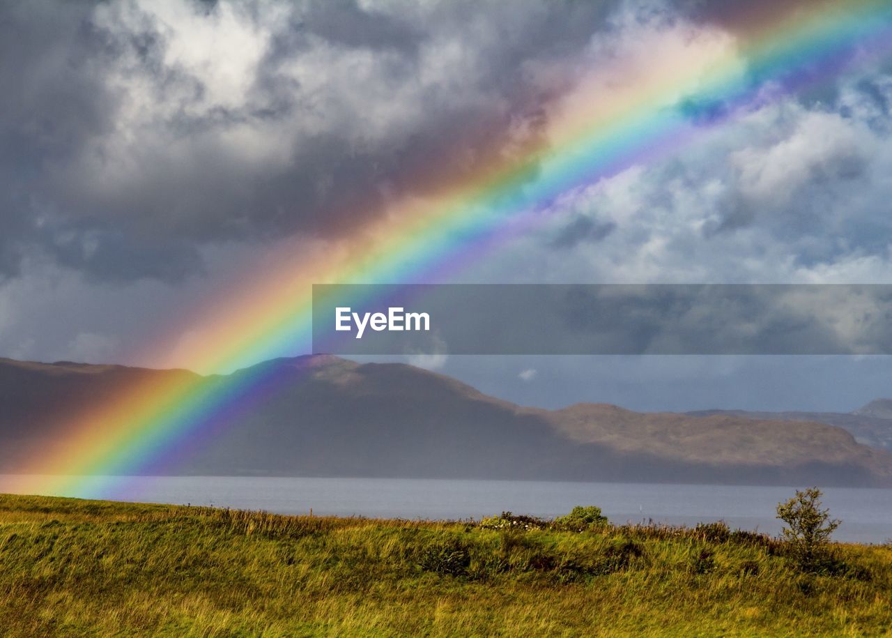 VIEW OF RAINBOW OVER TREES