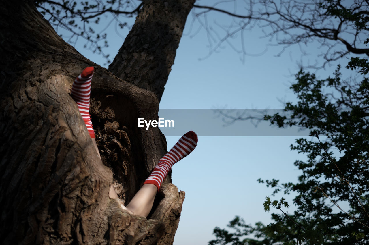 Low angle view of girl in tree trunk against clear sky