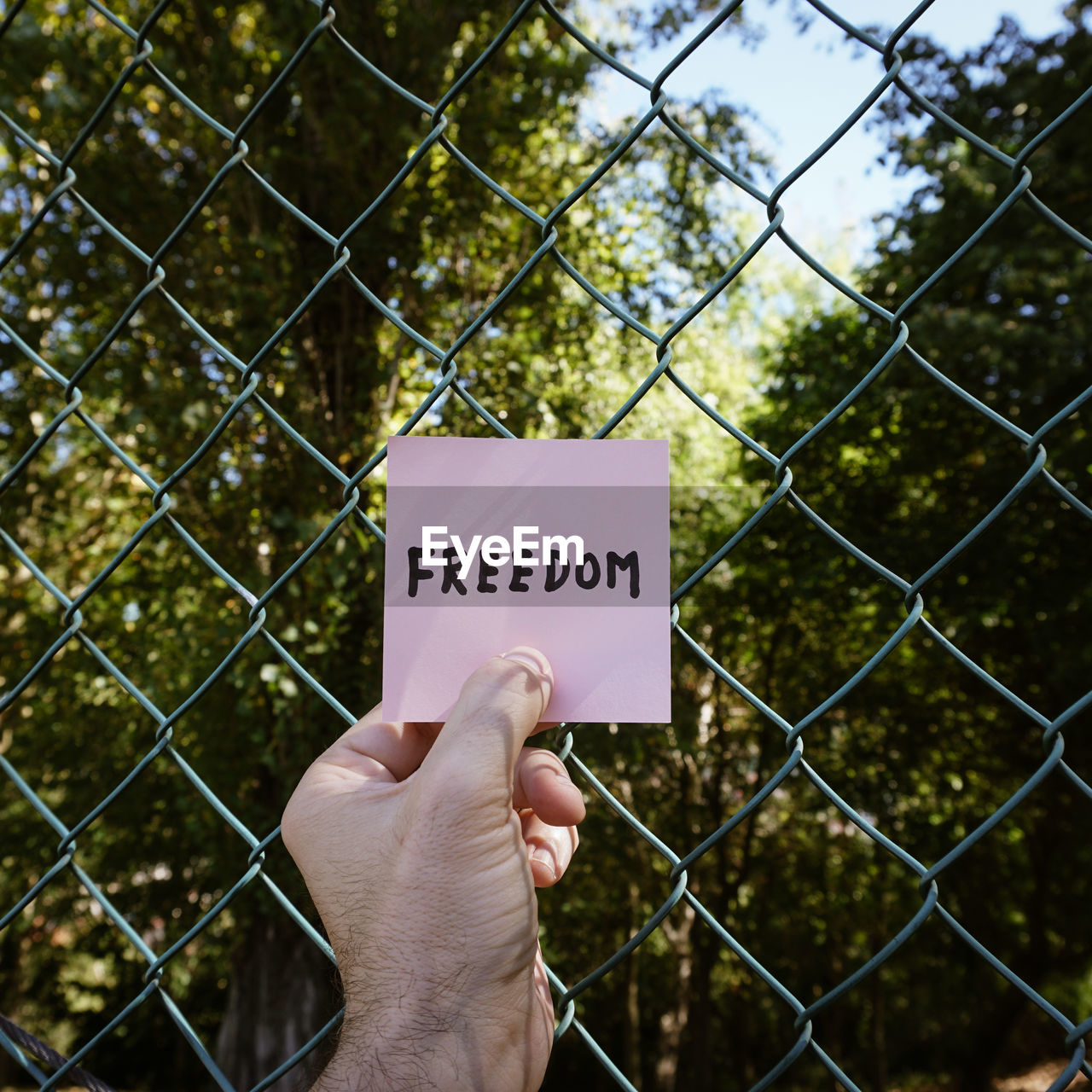 hand, fence, chainlink fence, text, communication, holding, one person, western script, tree, security, sign, nature, day, protection, outdoors, green, metal, focus on foreground, close-up, chain-link fencing, forbidden, personal perspective