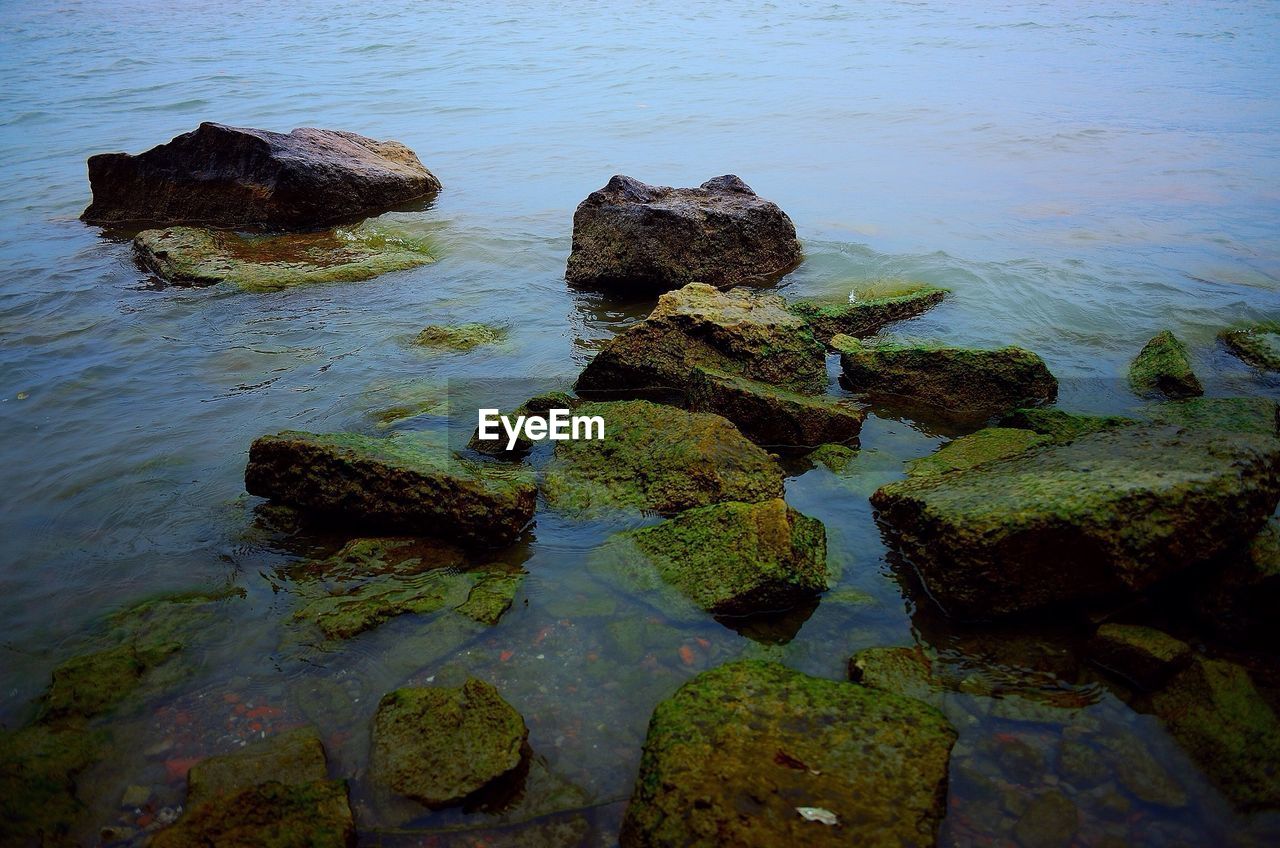 Moss covered rocks at lakeshore