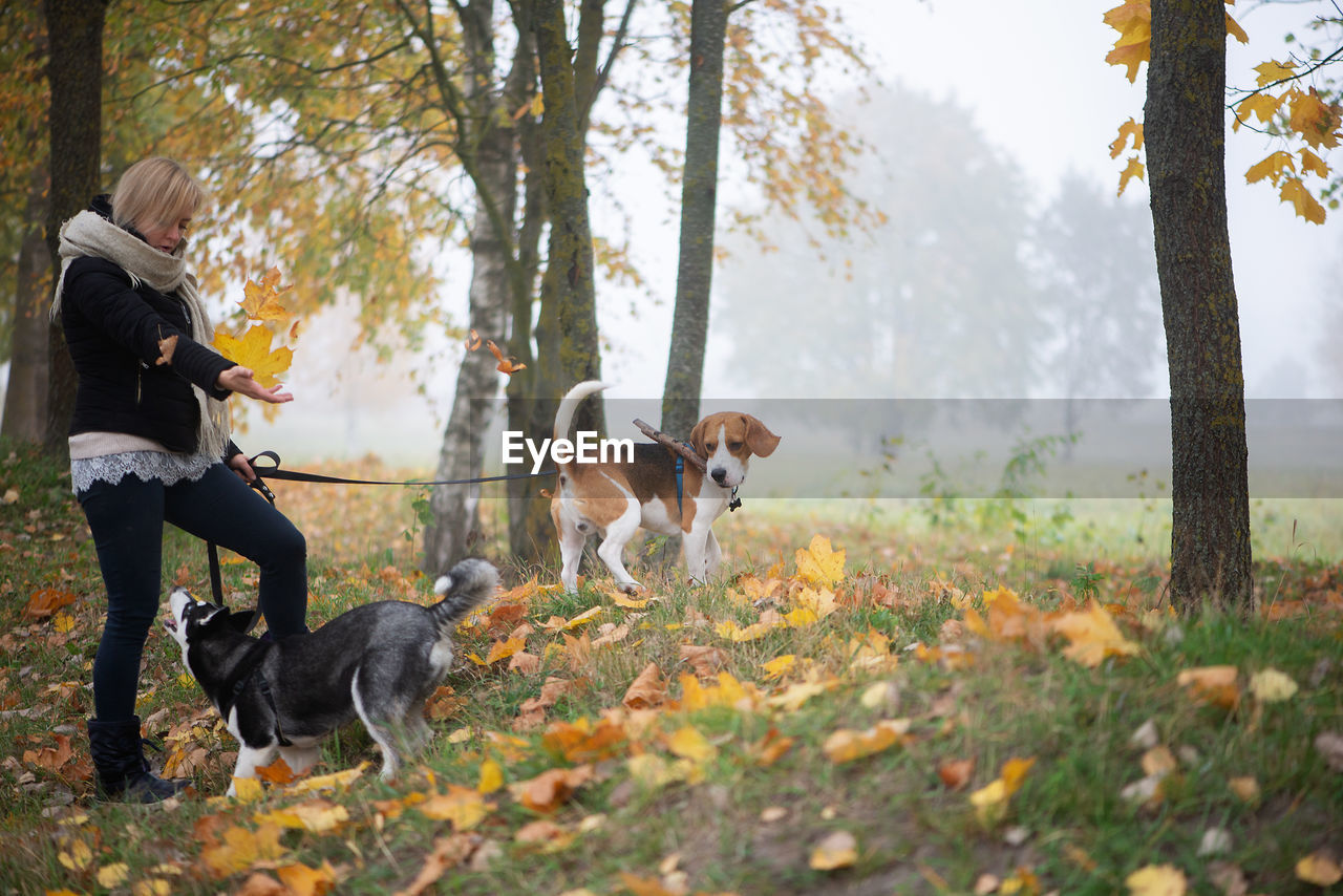 Playful woman with dogs during autumn