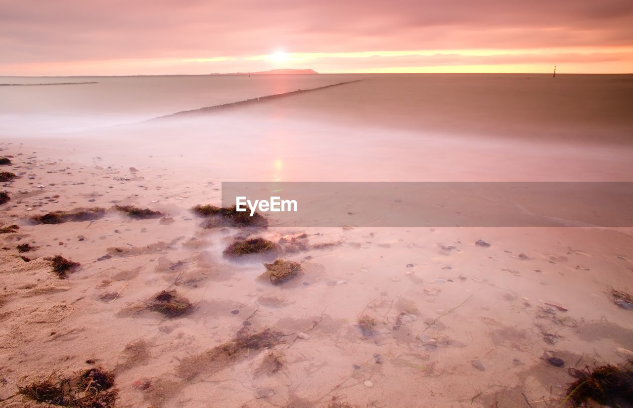 Wooden breakwater in wavy baltic sea. romantic atmosphere at smooth wavy sea. pink horizon 