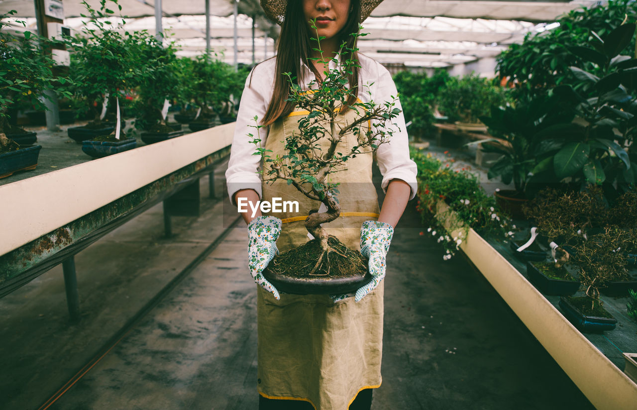 Midsection of woman holding bonsai tree while standing in greenhouse