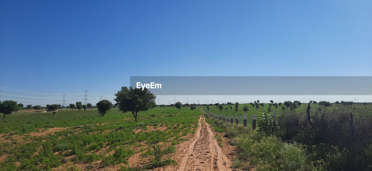 PANORAMIC VIEW OF AGRICULTURAL FIELD AGAINST CLEAR SKY