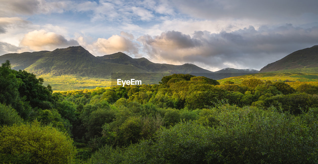 Green forest and mountain range illuminated by golden sunlight at sunrise, ireland