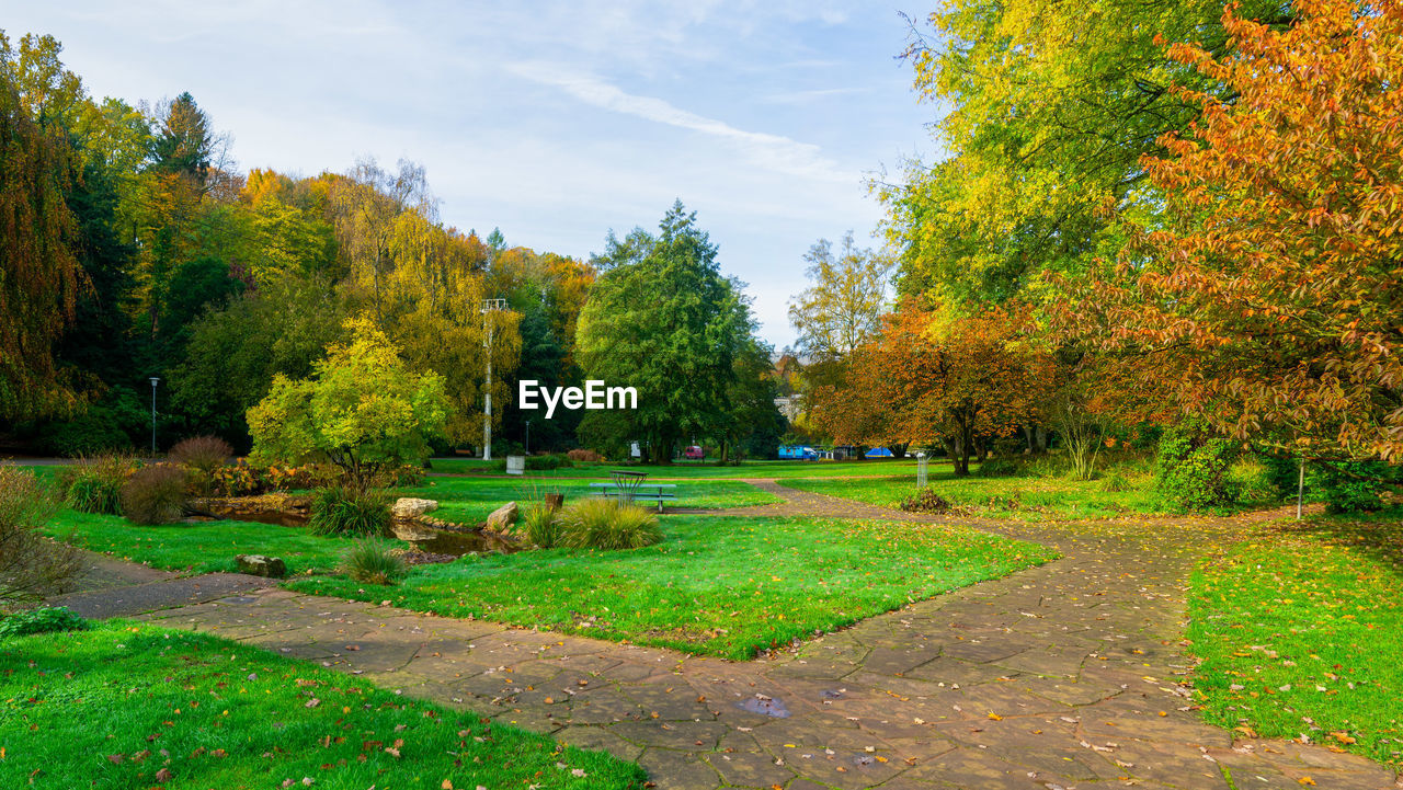 TREES IN PARK DURING AUTUMN