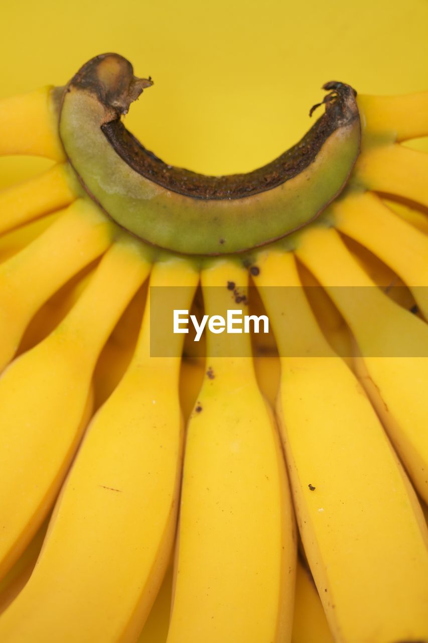 Macro of banana bunch on yellow background