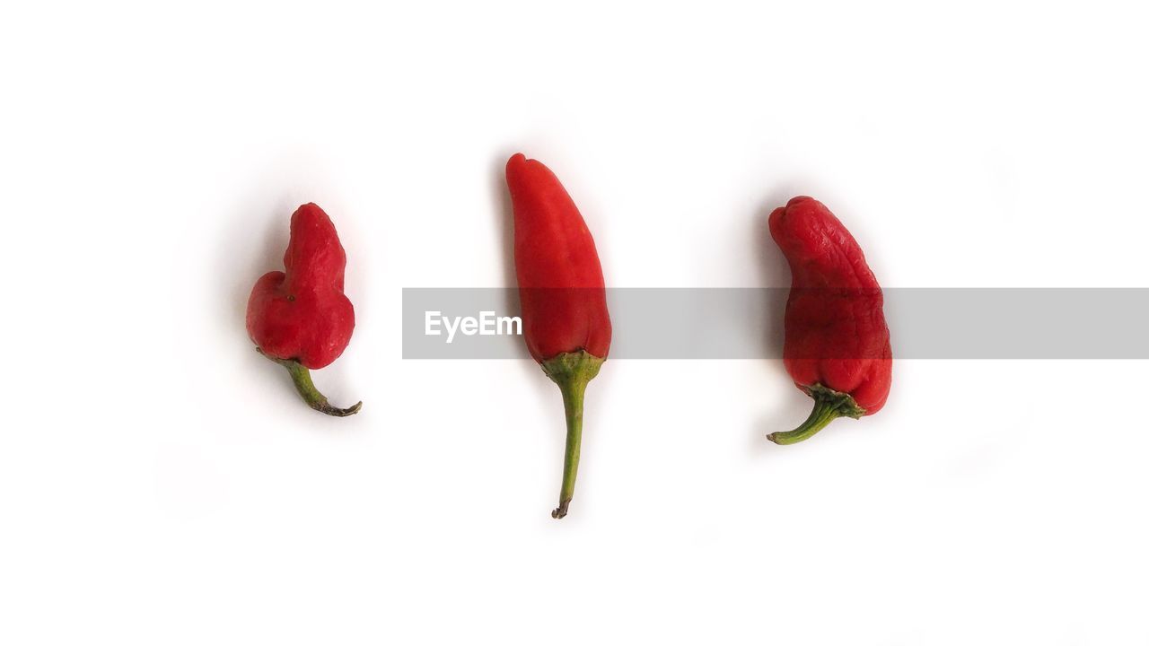 CLOSE-UP OF RED CHILI PEPPERS OVER WHITE BACKGROUND