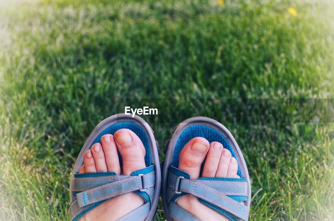 Low section of person wearing sandal on grass