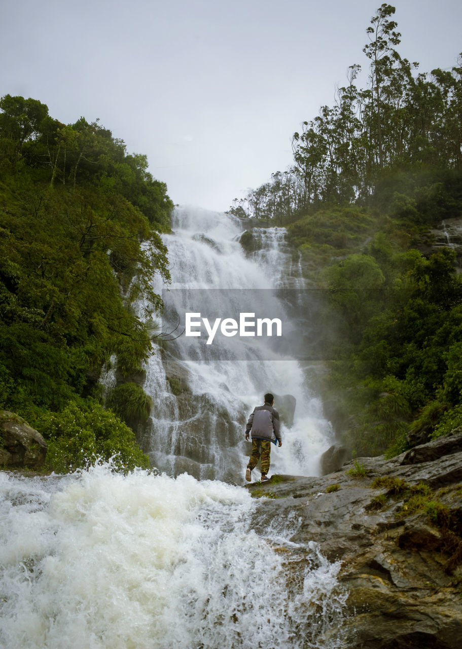 Scenic view of waterfall in forest